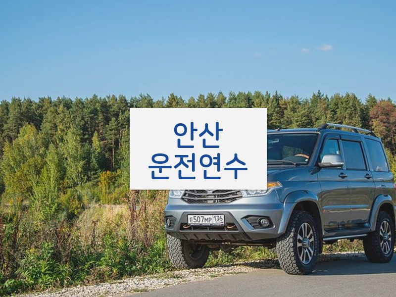 안산운전연수 후기