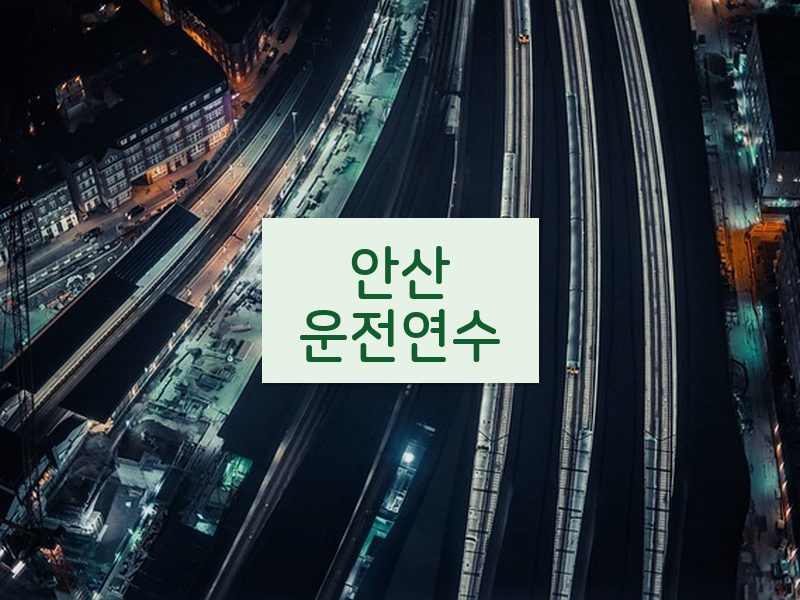 안산운전연수 후기