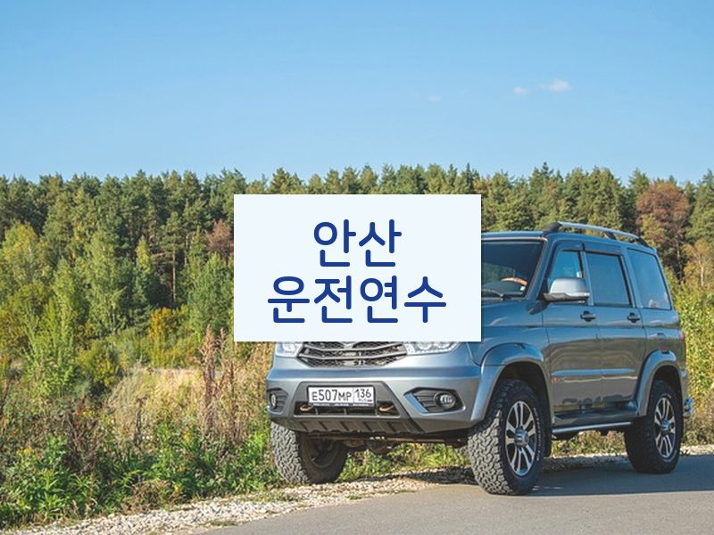 안산운전연수 후기
