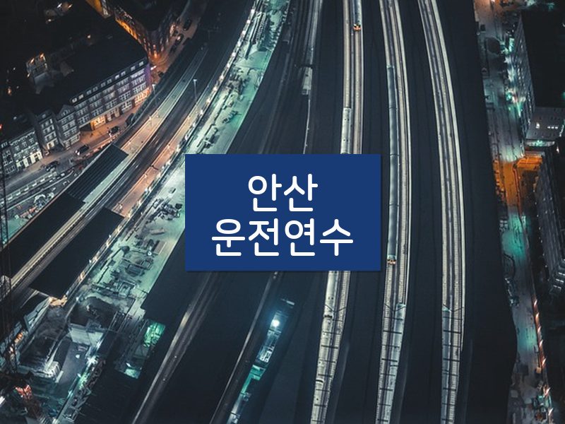 안산운전연수 후기
