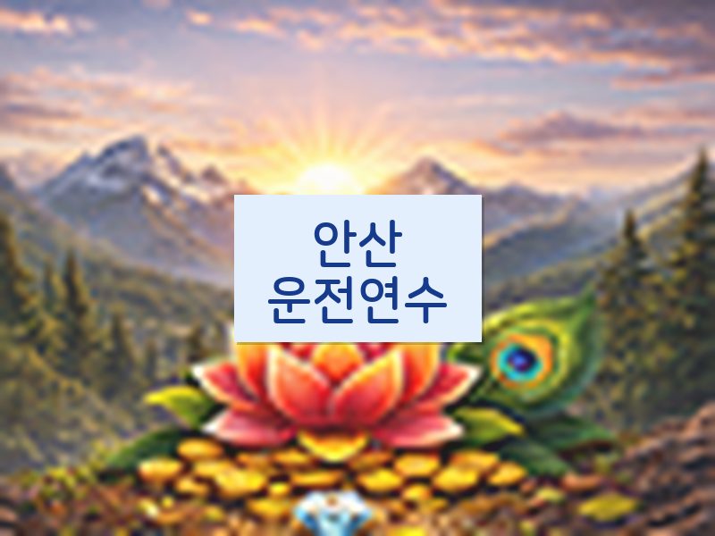 안산운전연수 후기