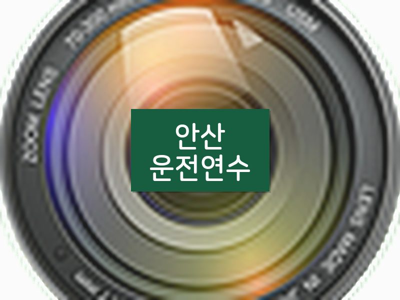 안산운전연수 후기