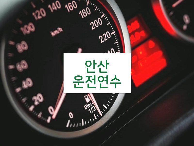 안산운전연수 후기