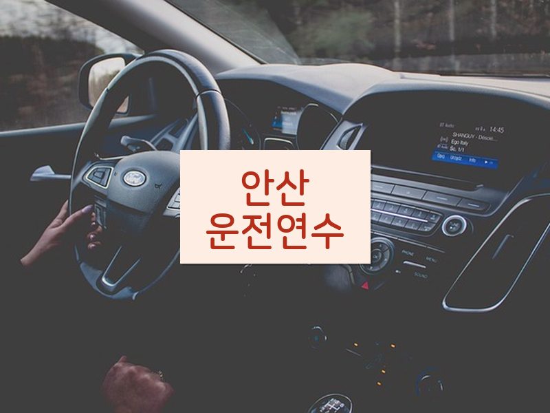 안산운전연수 후기