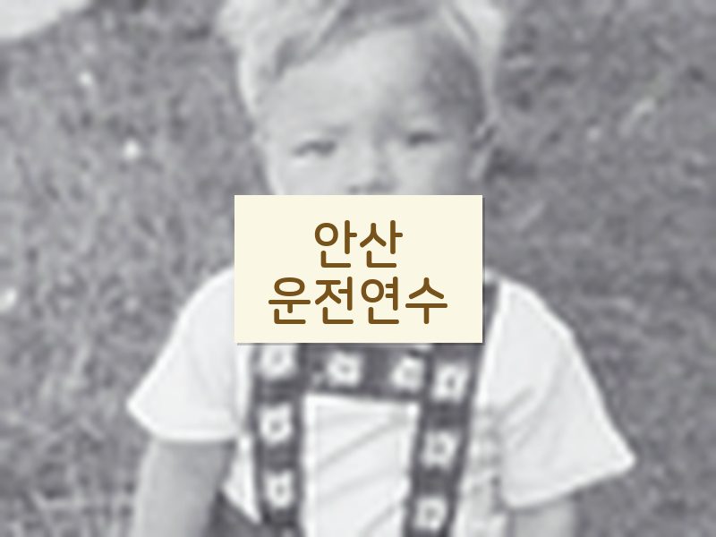 안산운전연수 후기