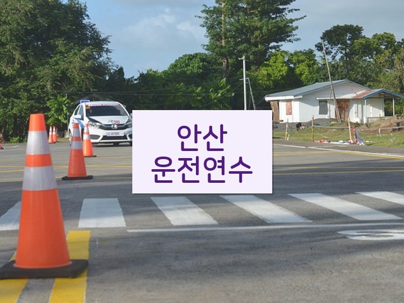 안산운전연수 후기