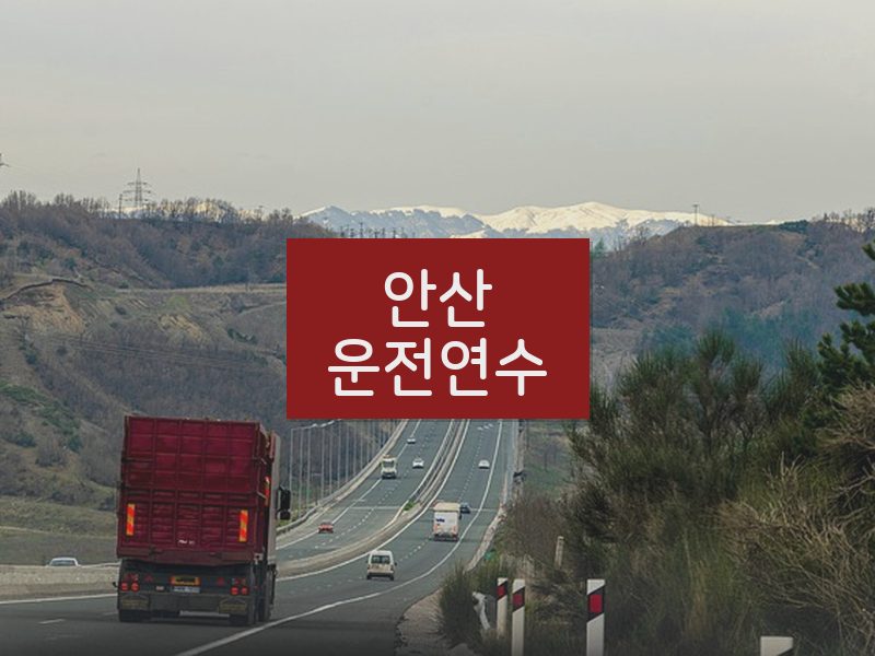 안산운전연수 후기