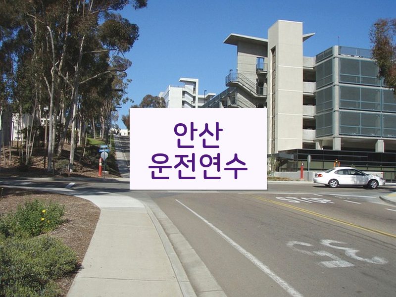 안산운전연수 후기