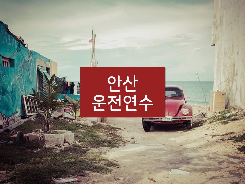 안산운전연수 후기