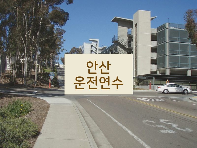 안산운전연수 후기