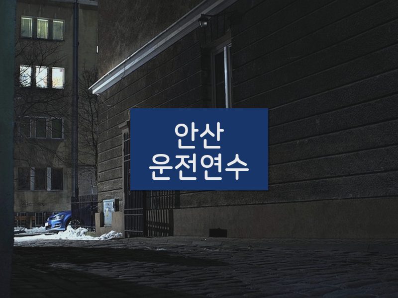 안산운전연수 후기