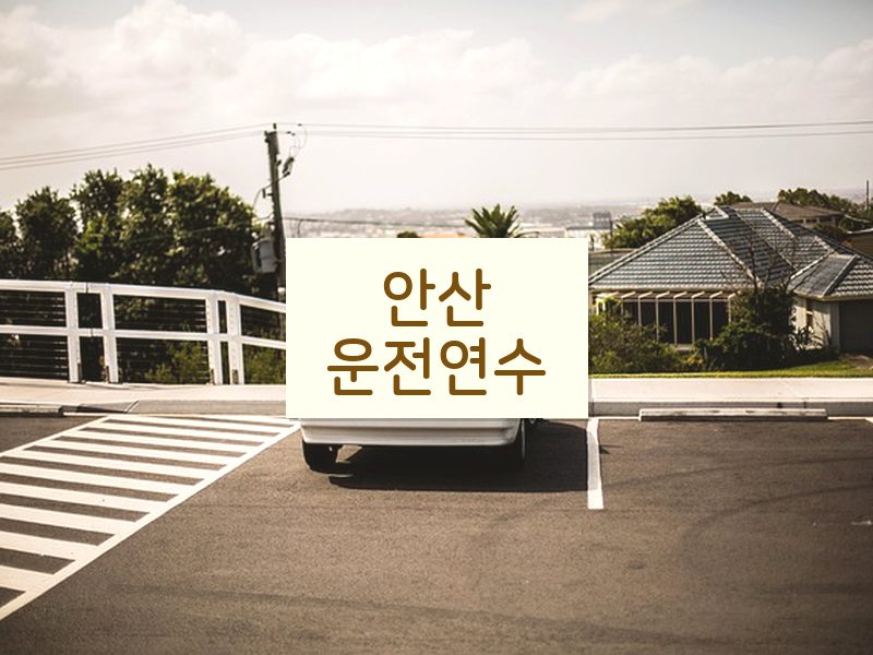 안산운전연수 후기