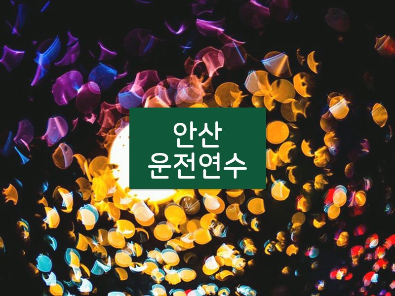 안산운전연수 후기