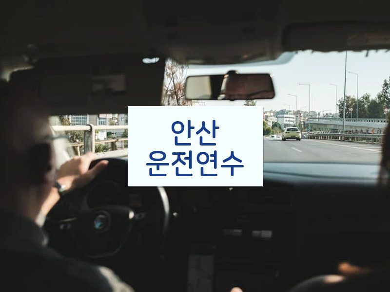 안산운전연수 후기