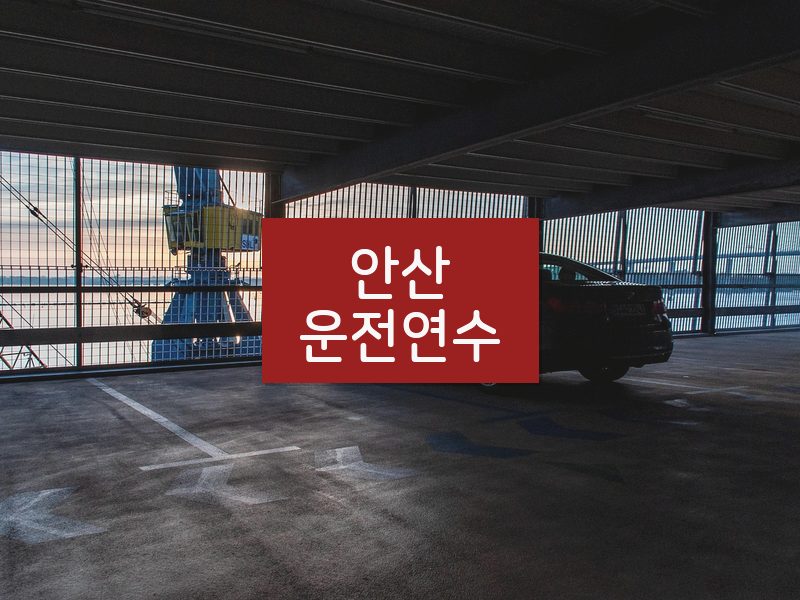 안산운전연수 후기