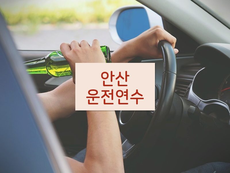 안산운전연수 후기