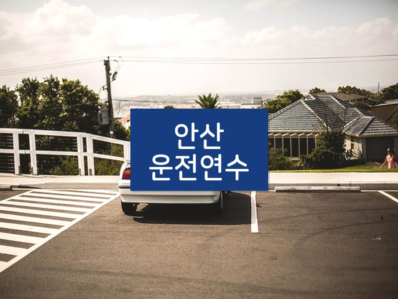안산운전연수 후기
