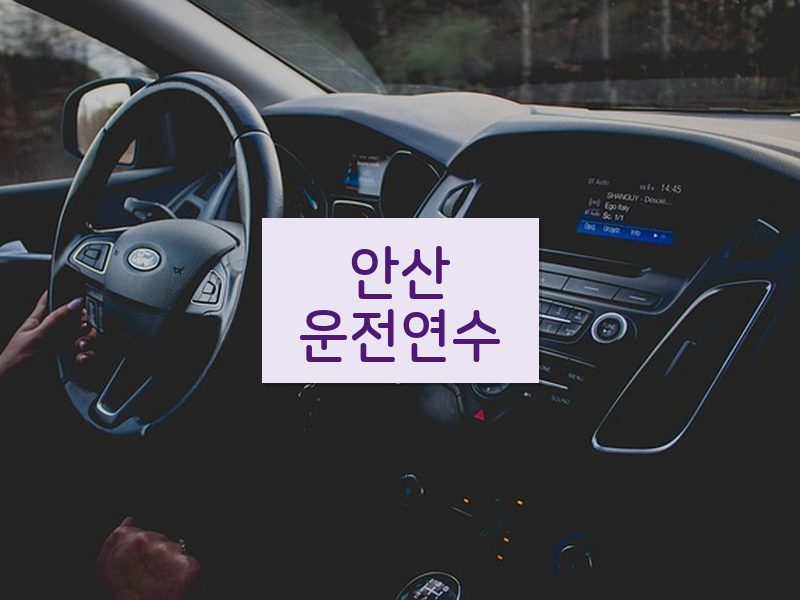 안산운전연수 후기