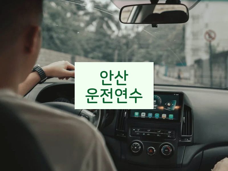 안산운전연수 후기