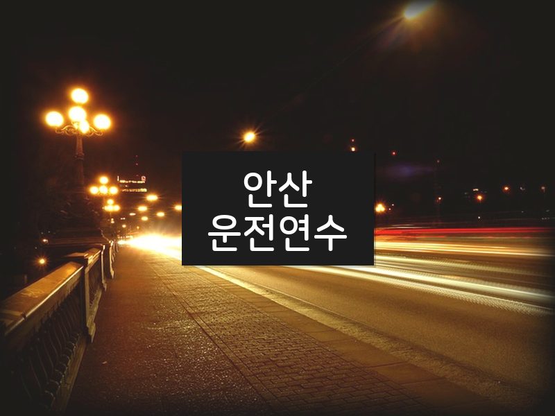 안산운전연수 후기