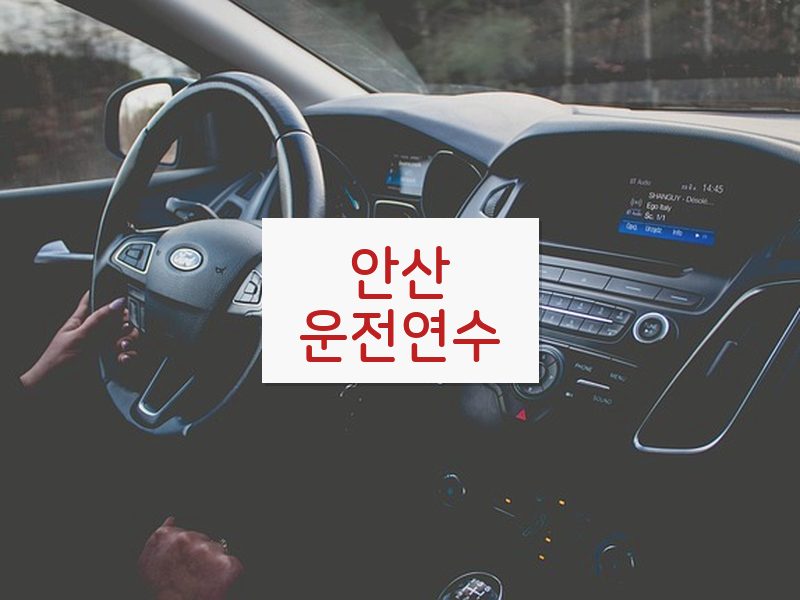 안산운전연수 후기