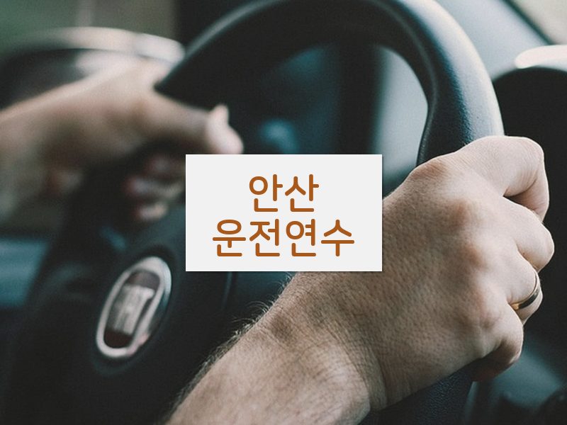 안산운전연수 후기