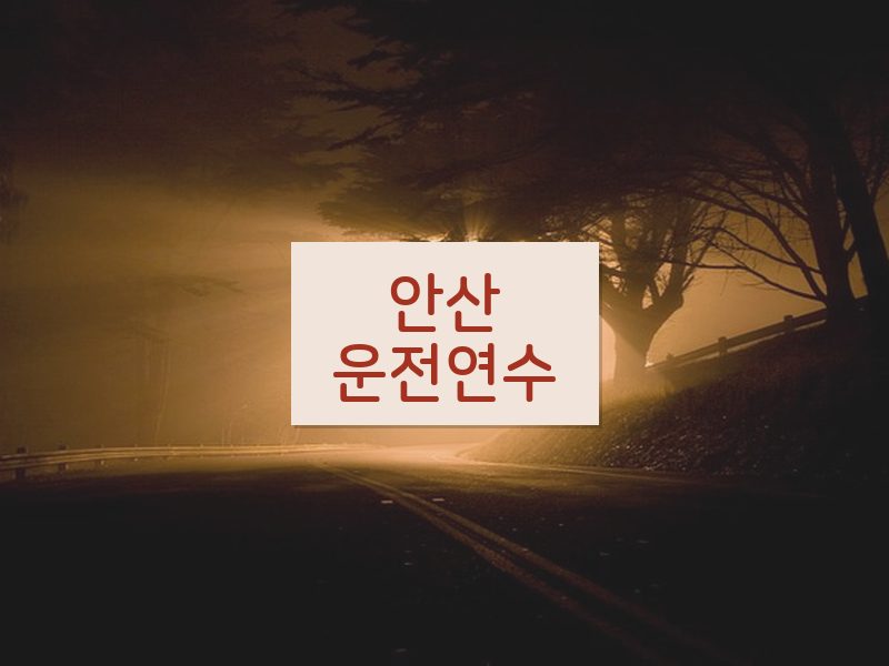 안산운전연수 후기