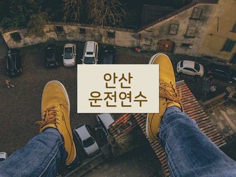안산운전연수 후기