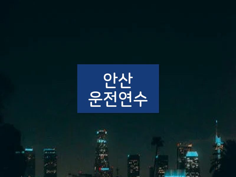 안산운전연수 후기