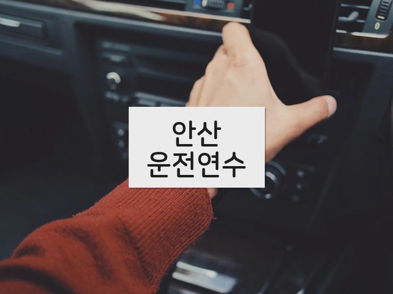 안산운전연수 후기