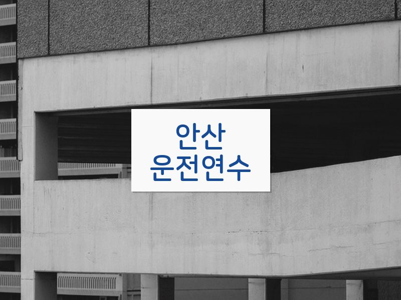 안산운전연수 후기