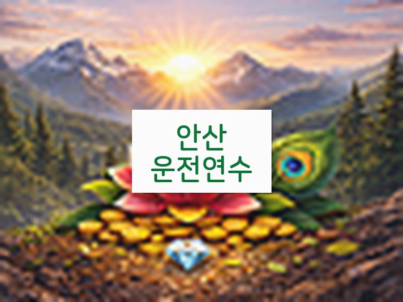 안산운전연수 후기