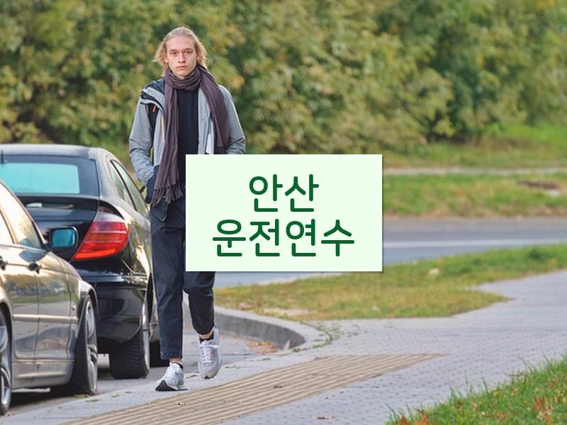 안산운전연수 후기