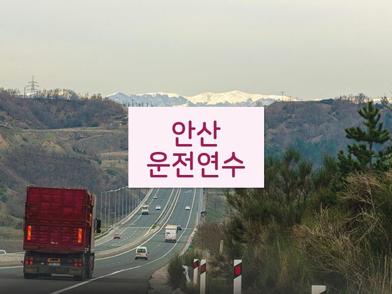 안산운전연수 후기