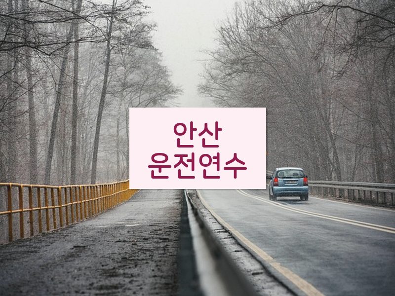 안산운전연수 후기