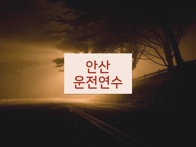 안산운전연수 후기