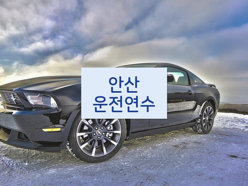 안산운전연수 후기