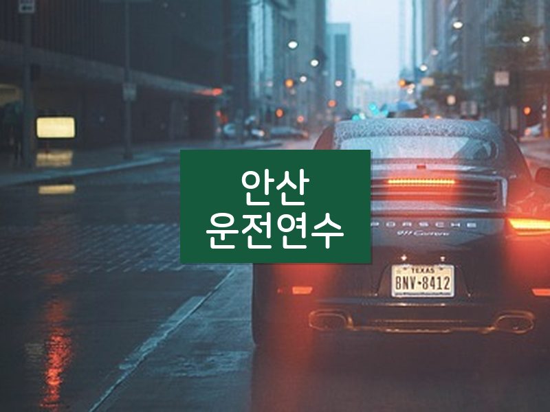 안산운전연수 후기