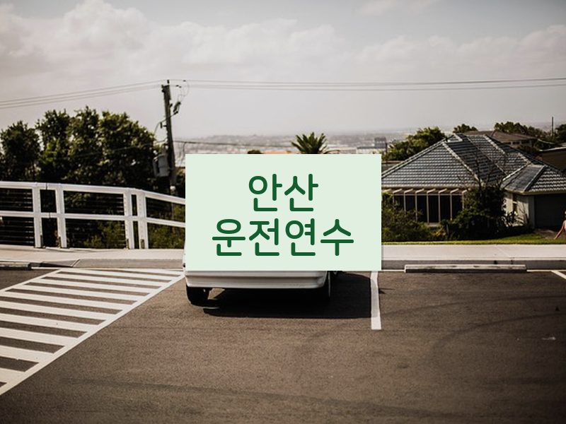 안산운전연수 후기