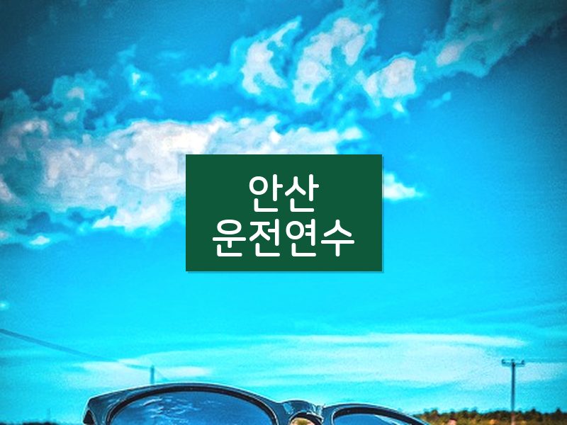 안산운전연수 후기