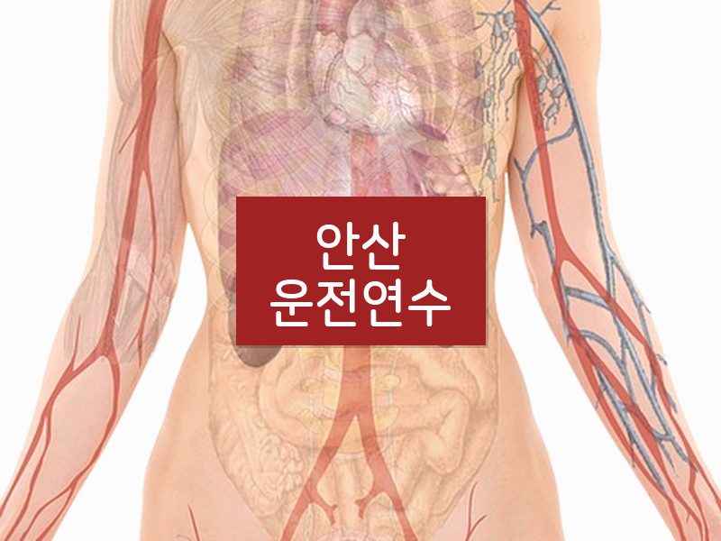 안산운전연수 후기