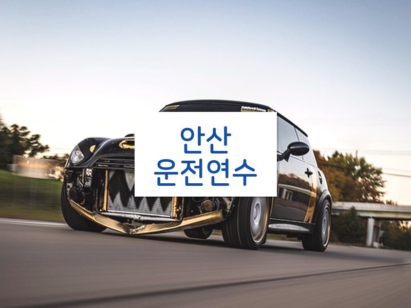 안산운전연수 후기
