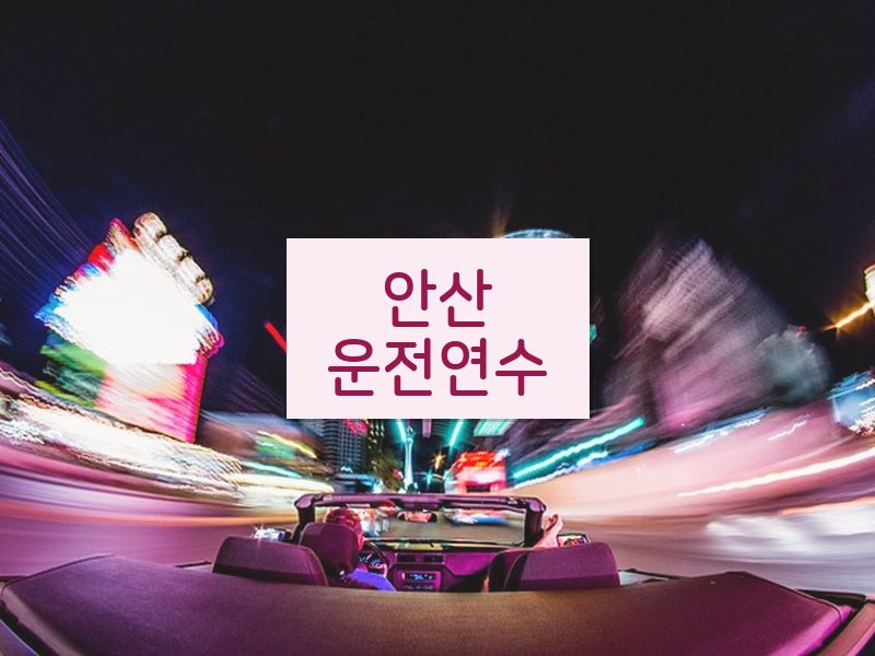 안산운전연수 후기
