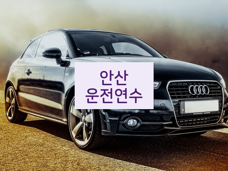 안산운전연수 후기