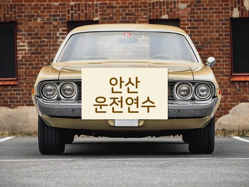 안산운전연수 후기