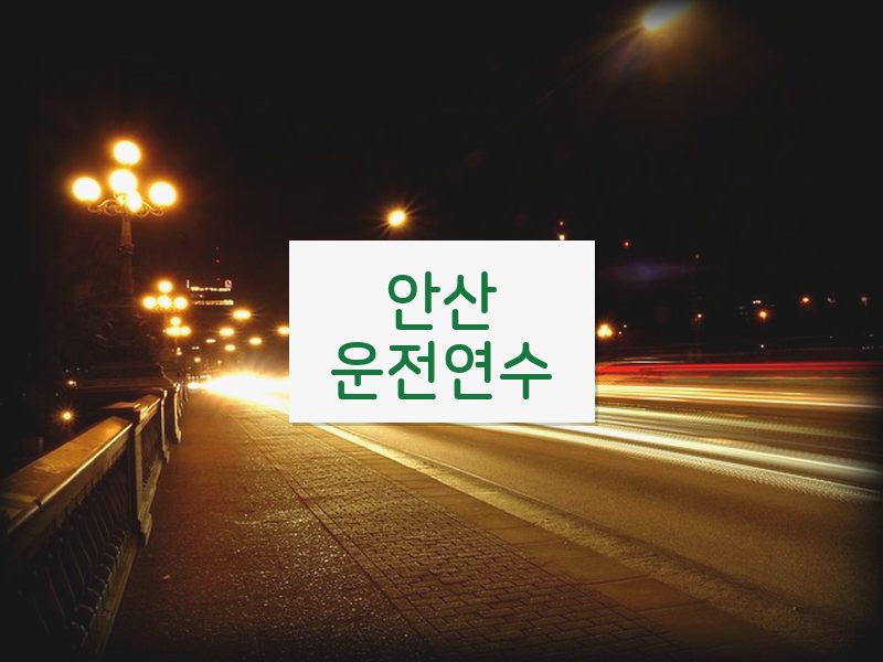 안산운전연수 후기