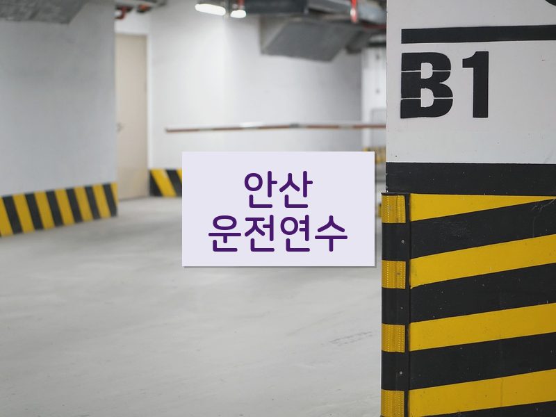 안산운전연수 후기