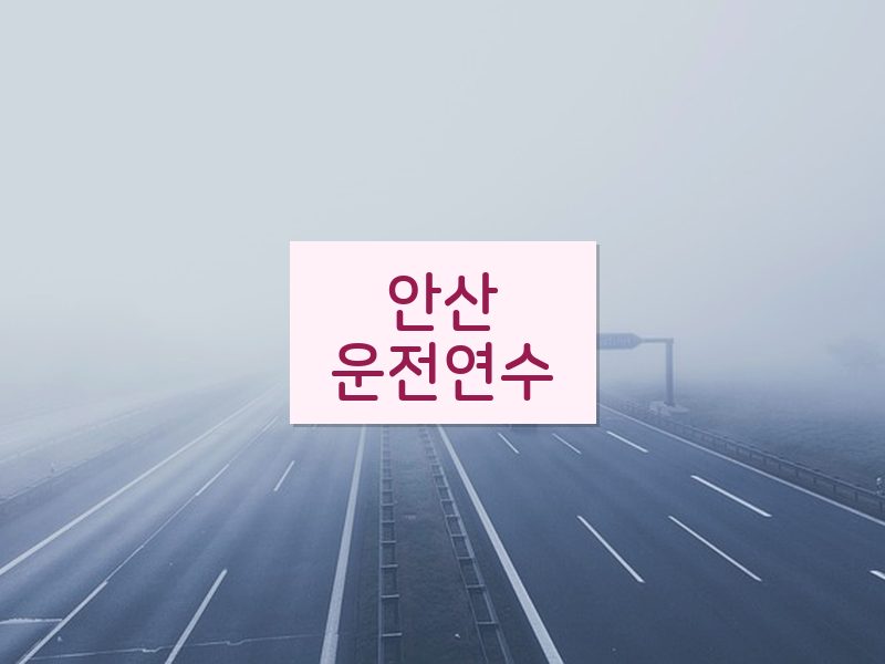 안산운전연수 후기