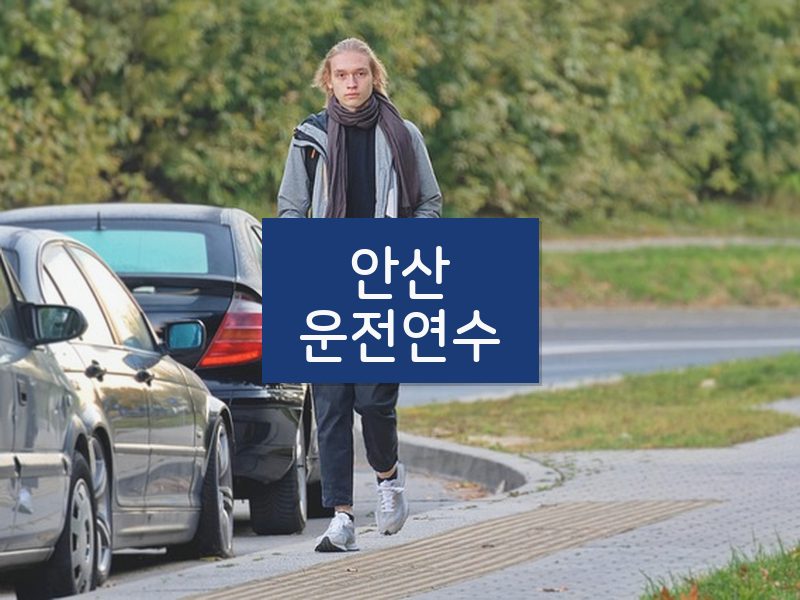 안산운전연수 후기