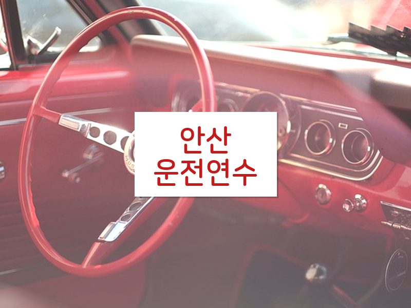 안산운전연수 후기